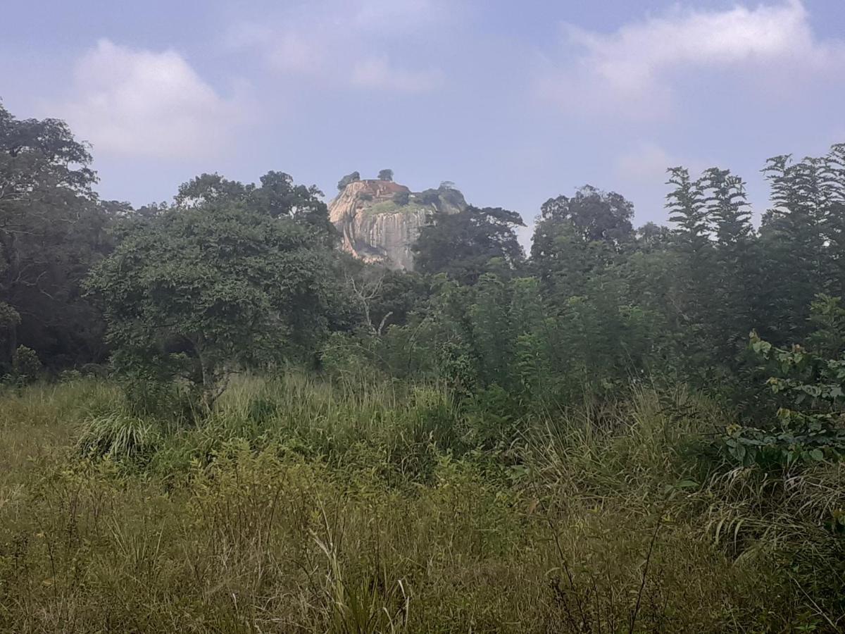 Sigiriya Palace View Exterior photo